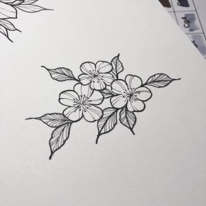 樱花纹身手稿