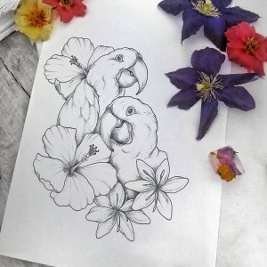 樱花鹦鹉纹身手稿
